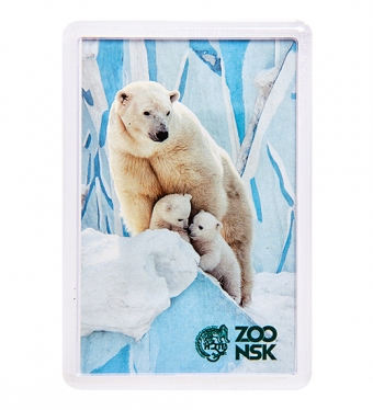 Магнит «Новосибирский зоопарк» U0SG7R
