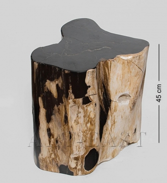 Камень древесный «Хранящий память» 90 кг FIO8B4