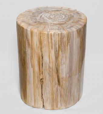 Камень древесный «Победивший стихии» 126 кг D6J39J