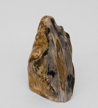 Камень древесный «Эпоха динозавров» 7 кг 3ZN7SY