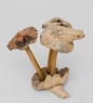 Статуэтка «Лягушка на грибе» 20 см CR2MWL