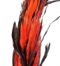 Декоративный веничек из перьев о. Бали PFKR0C