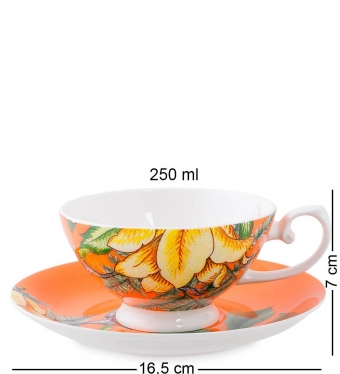 Чашка с блюдцем «Тропикана» оранжевая Stechcol O43FC1