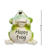 Копилка «Счастливая лягушка» T7H16K