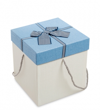 Коробка подарочная «Куб» цв.бел./голуб. T2OWHF