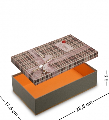 Коробка подарочная C13SIL