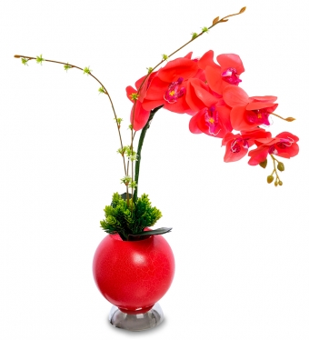 Орхидея в вазе с LED-подсветкой QA1TLD