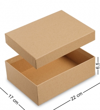 Коробка подарочная «Браун» Z0SUHC