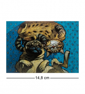 Почтовая открытка «Инь и Янь» 14,8х10,5 OZE9DS