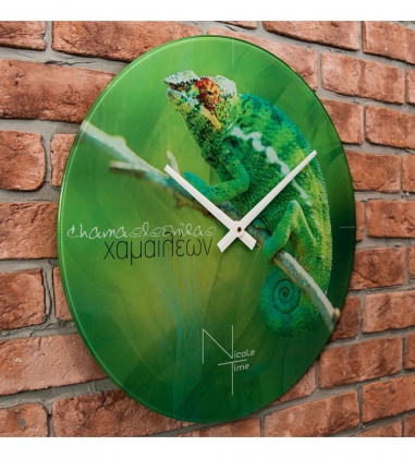 Часы настенные «NATURE» 580JWY