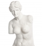 Статуэтка The Venus di Milo.Parastone C48VIZ